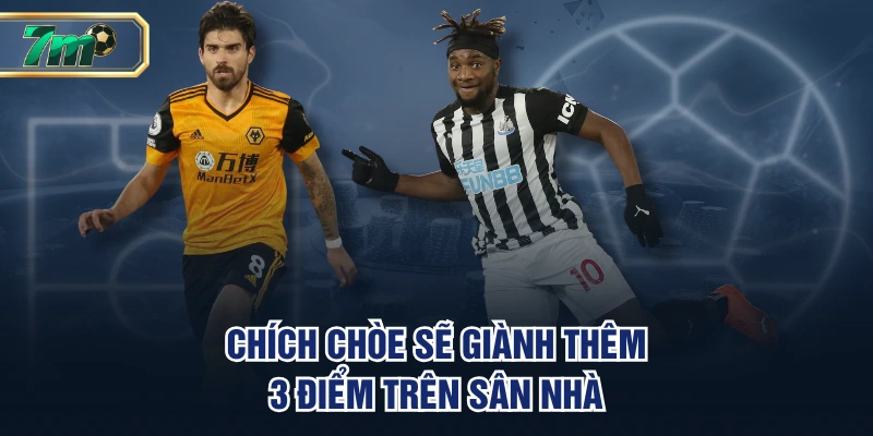 Soi Kèo Newcastle VS Wolverhampton | 21h 13/09, EPL 3 Chích Chòe sẽ giành thêm 3 điểm trên sân nhà